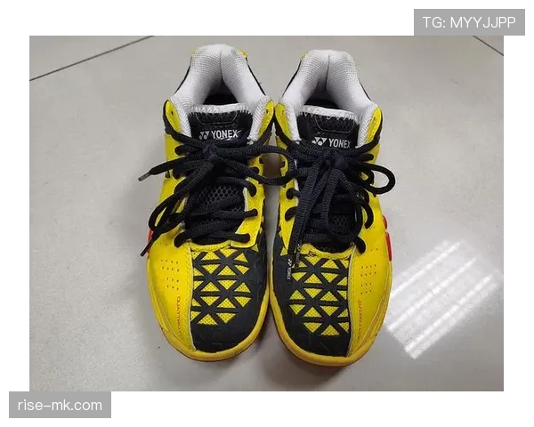 刚刷到邹敬园出门带的包——全是定制球鞋，我的月薪直接下线